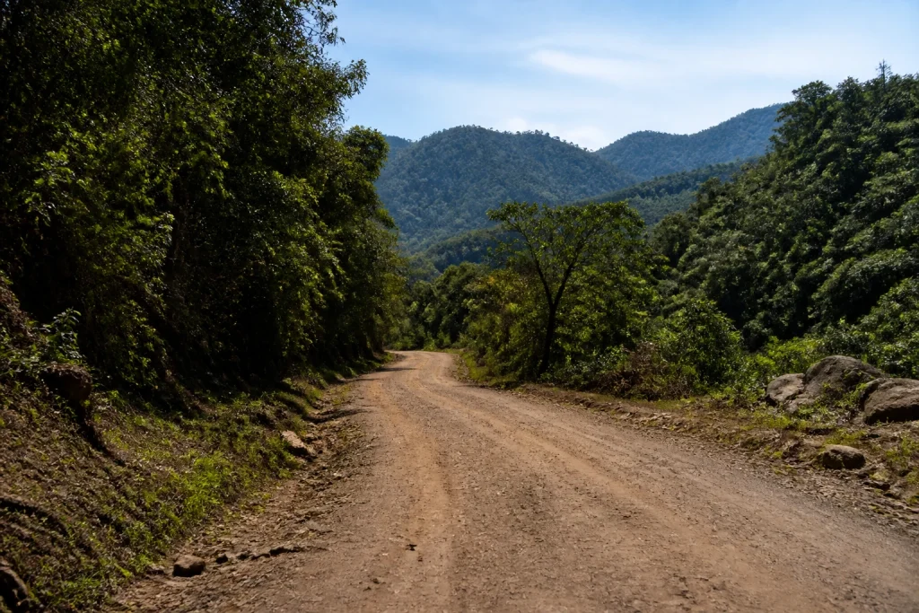 Unpaved access road in El Rey National Park, Salta Province