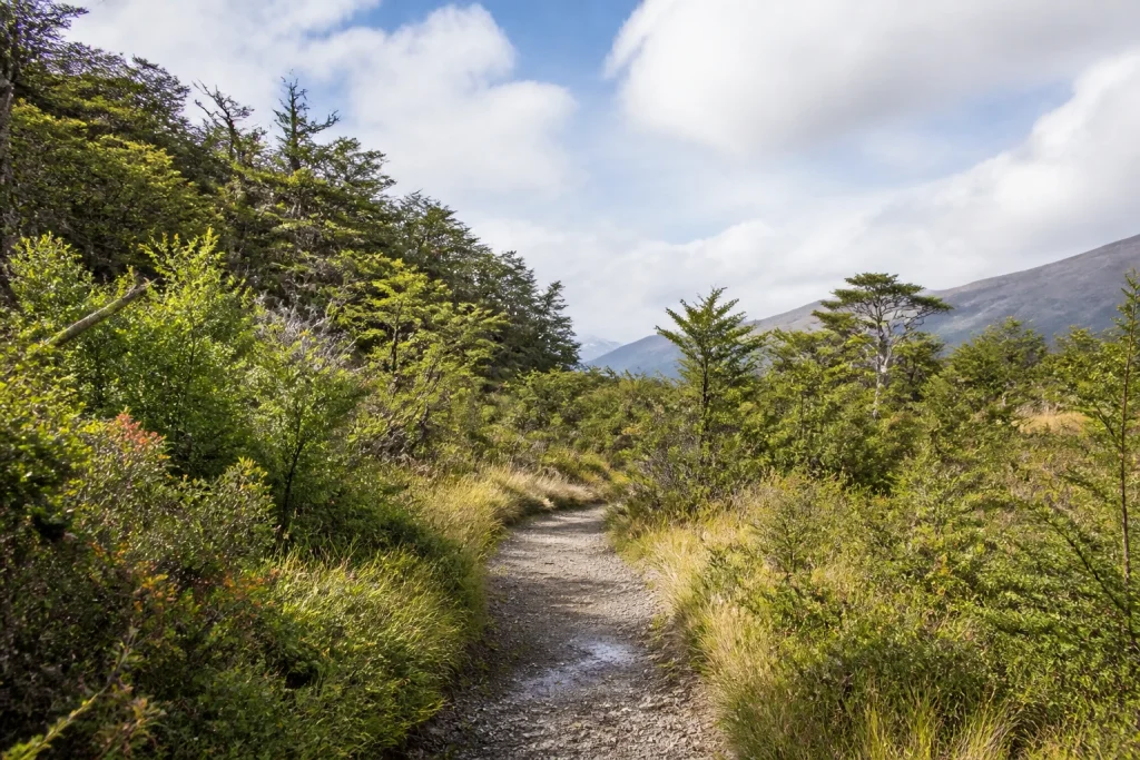 Castorera nature route in Tierra del Fuego National Park near Ushuaia