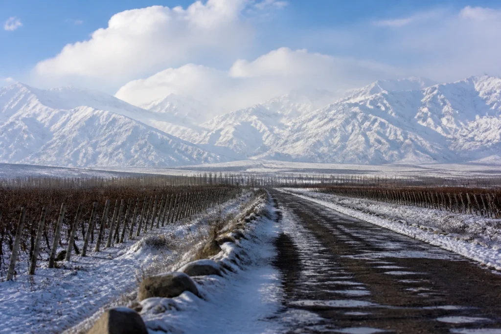 Winter conditions on a rural road in Mendoza’s Uco Valley