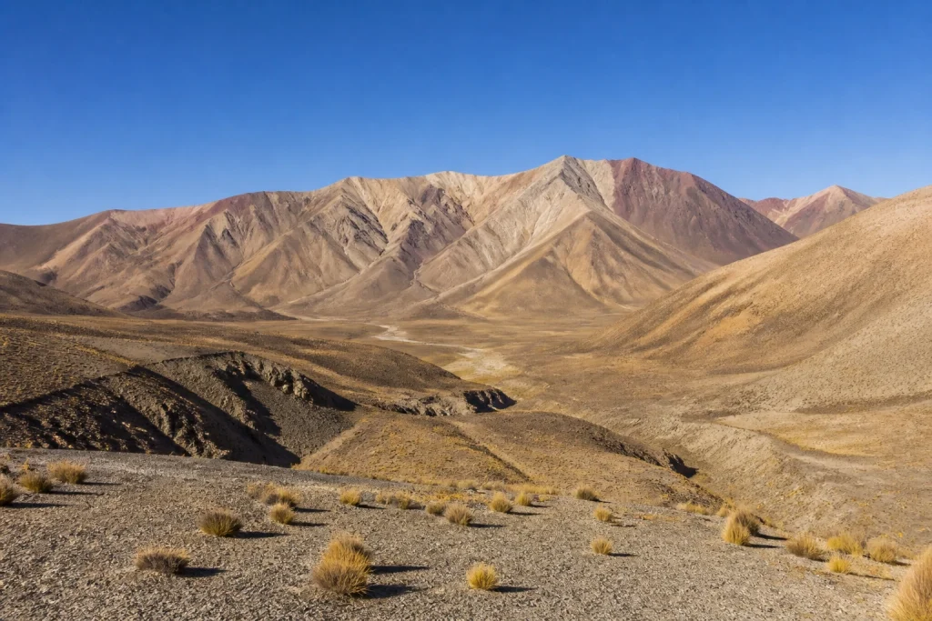 Dry winter landscape of the Puna in Jujuy, Argentina