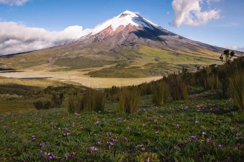 Cotopaxi Volcano above highland terrain in Cotopaxi National Park, Ecuador