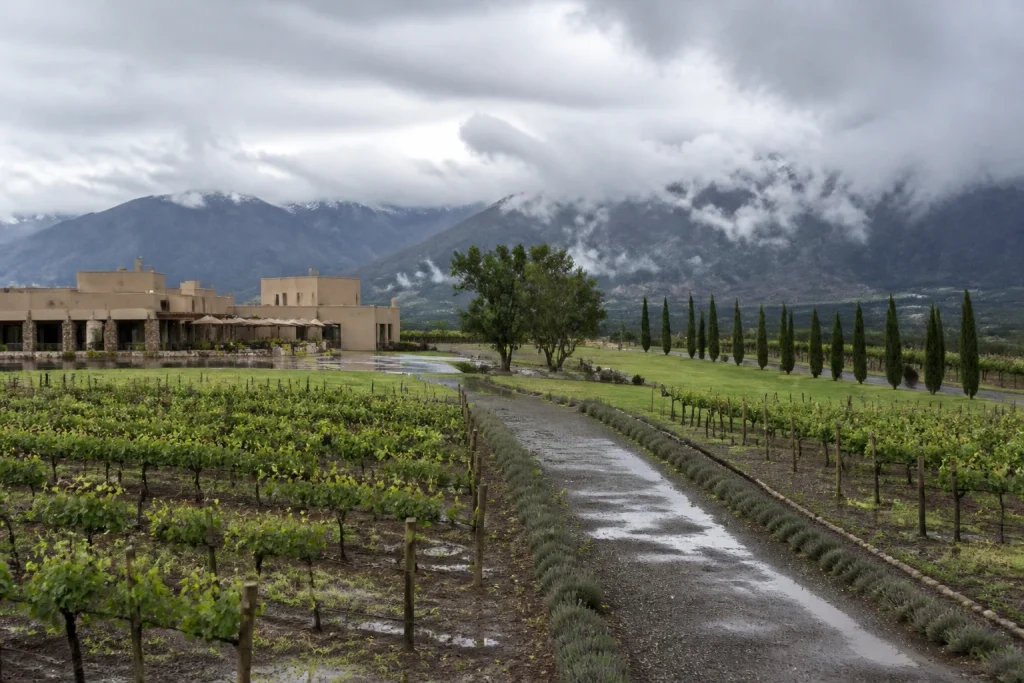 Uco Valley vineyard and winery beneath low rain clouds in Mendoza