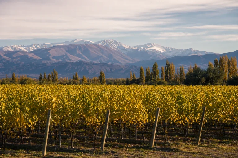Romantic Things to Do in The Andes