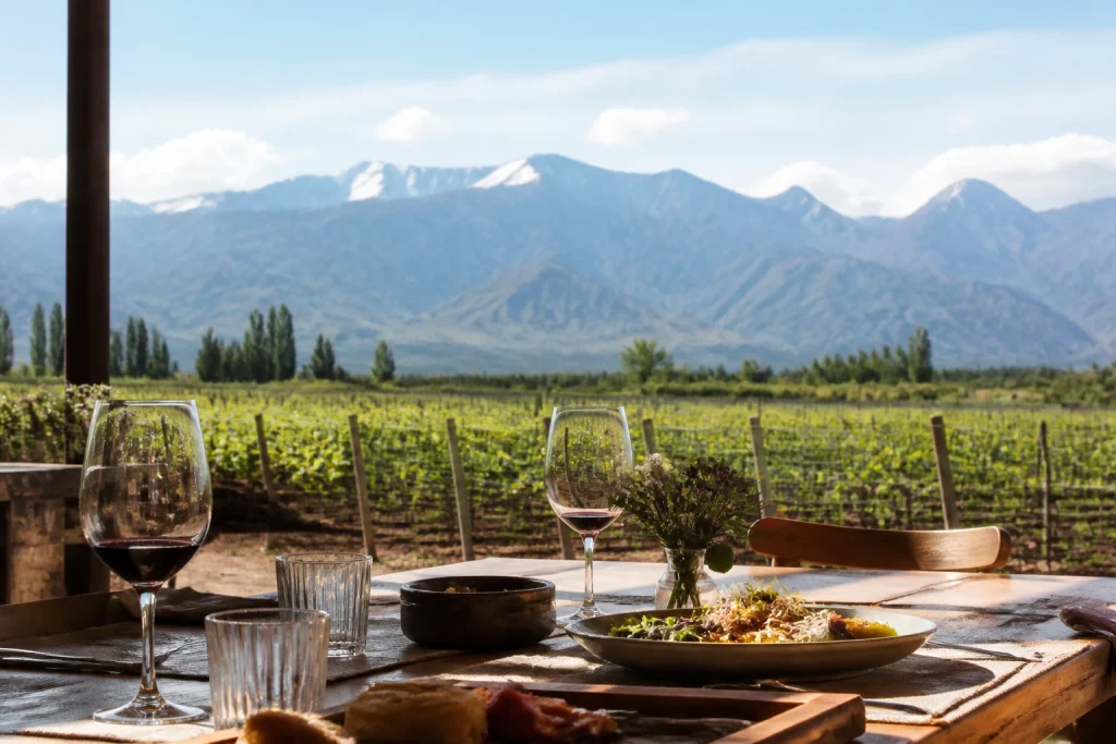 Winery lunch table beside vineyards in Luján de Cuyo, Mendoza
