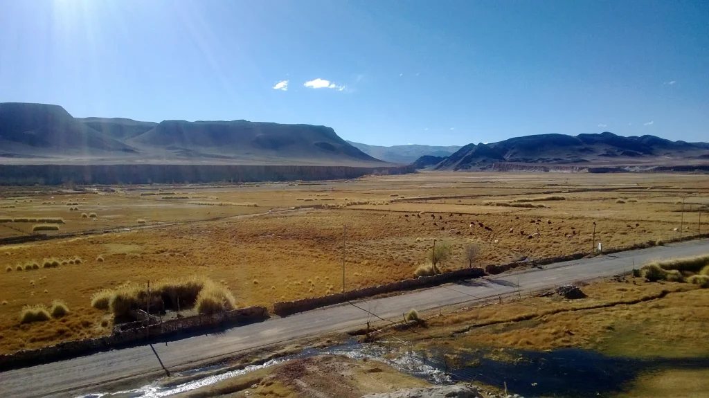 Remote road through the high Puna near Antofagasta de la Sierra