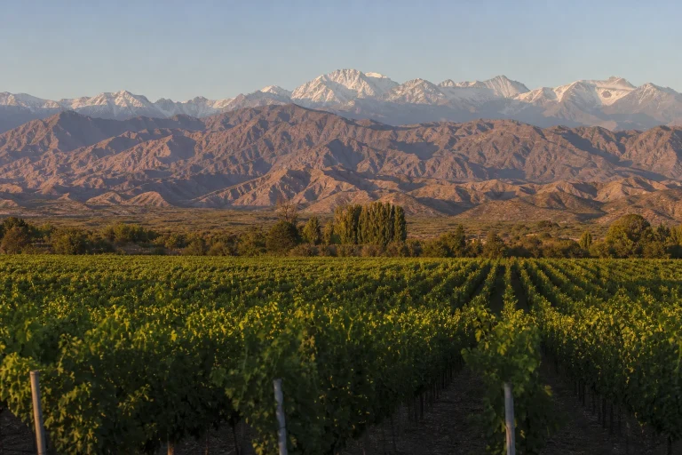 The Andes New Year’s Eve Guide