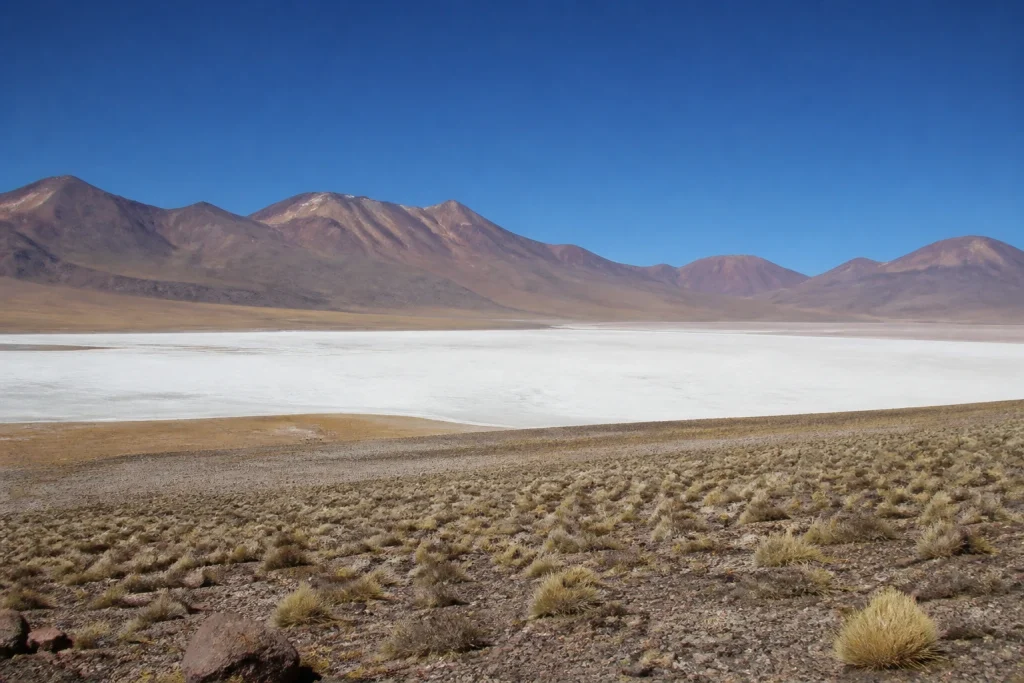 High-altitude salt flat and mountains in the Argentine Puna