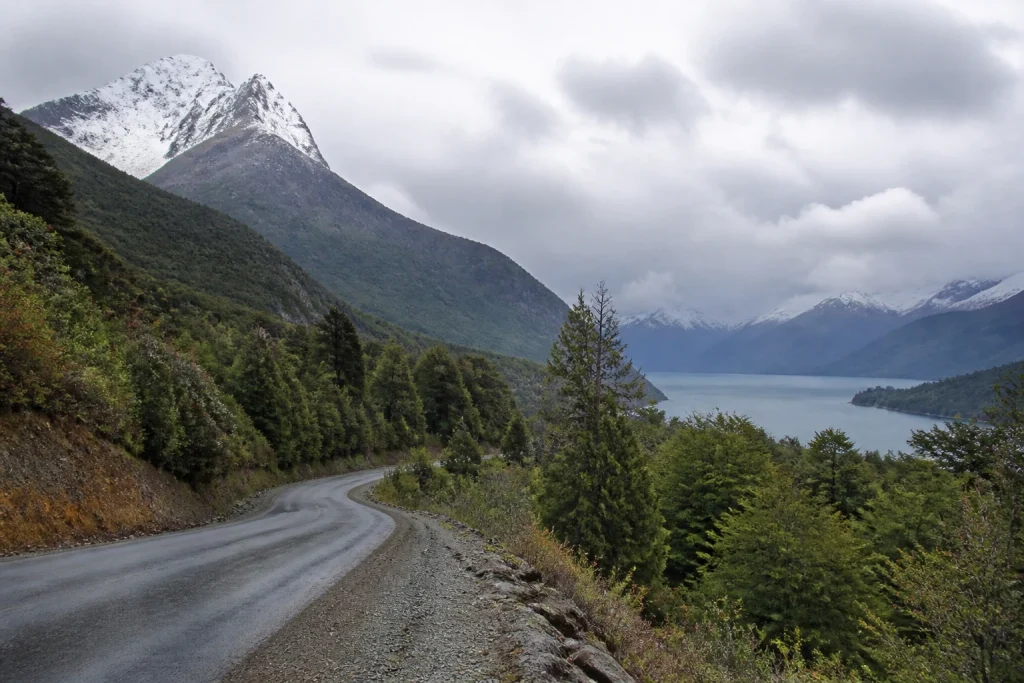 Mountain road winding through forested scenery in Argentine Patagonia